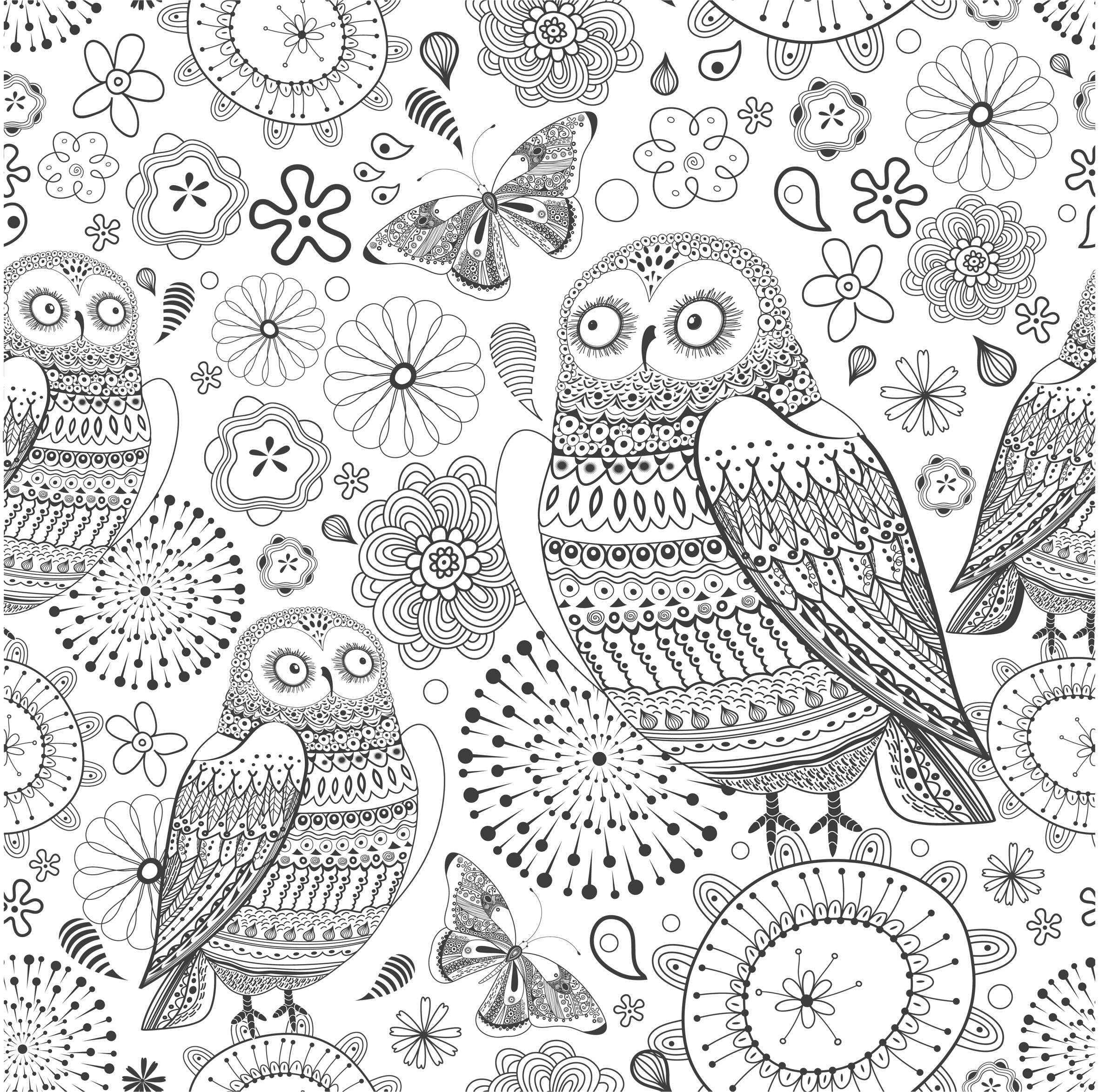 Coloriage Anti Stress Jardin